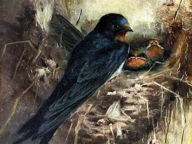 1852-Marie Laux - Rondini sul nido